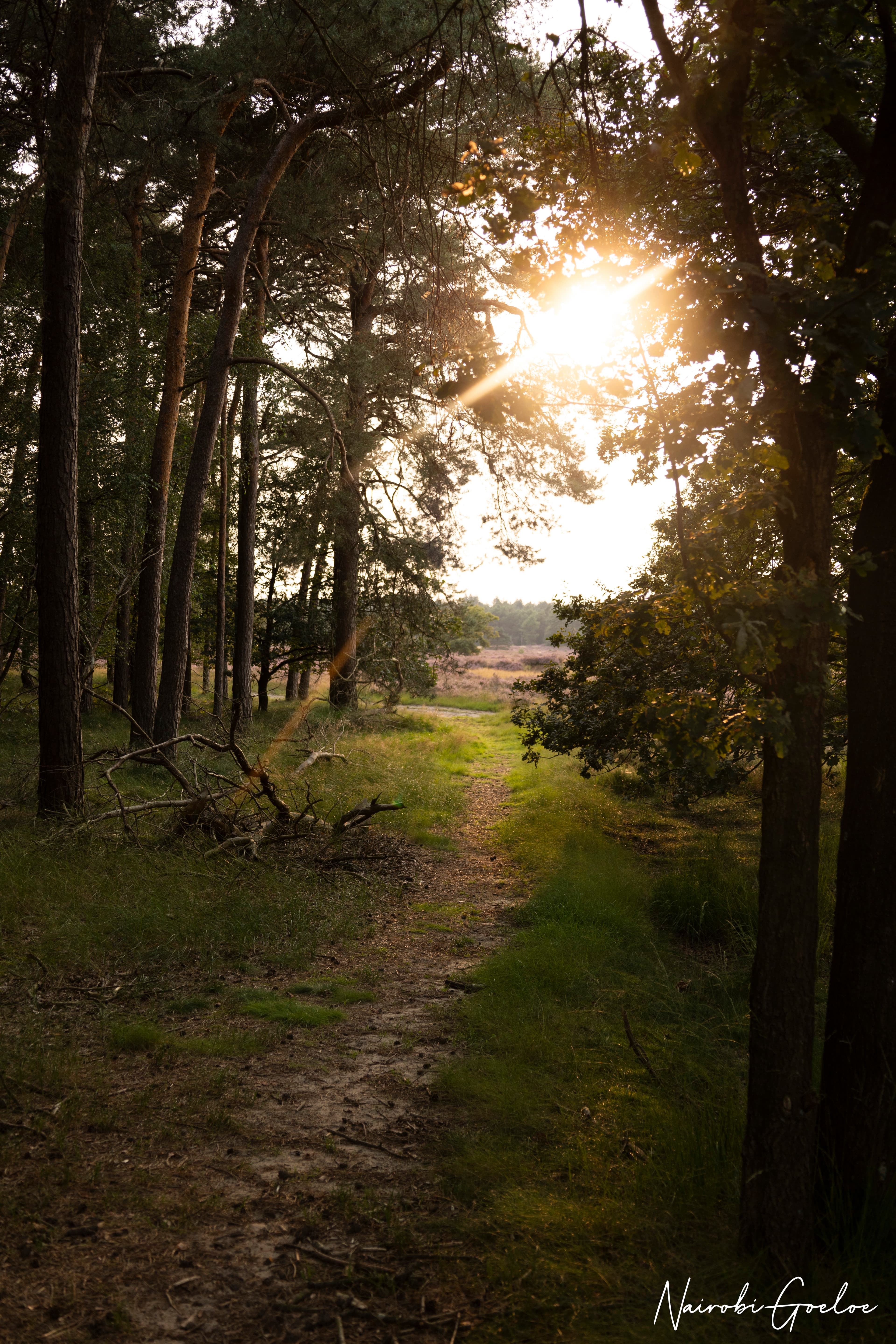 Foto 1 uit Even op adem komen